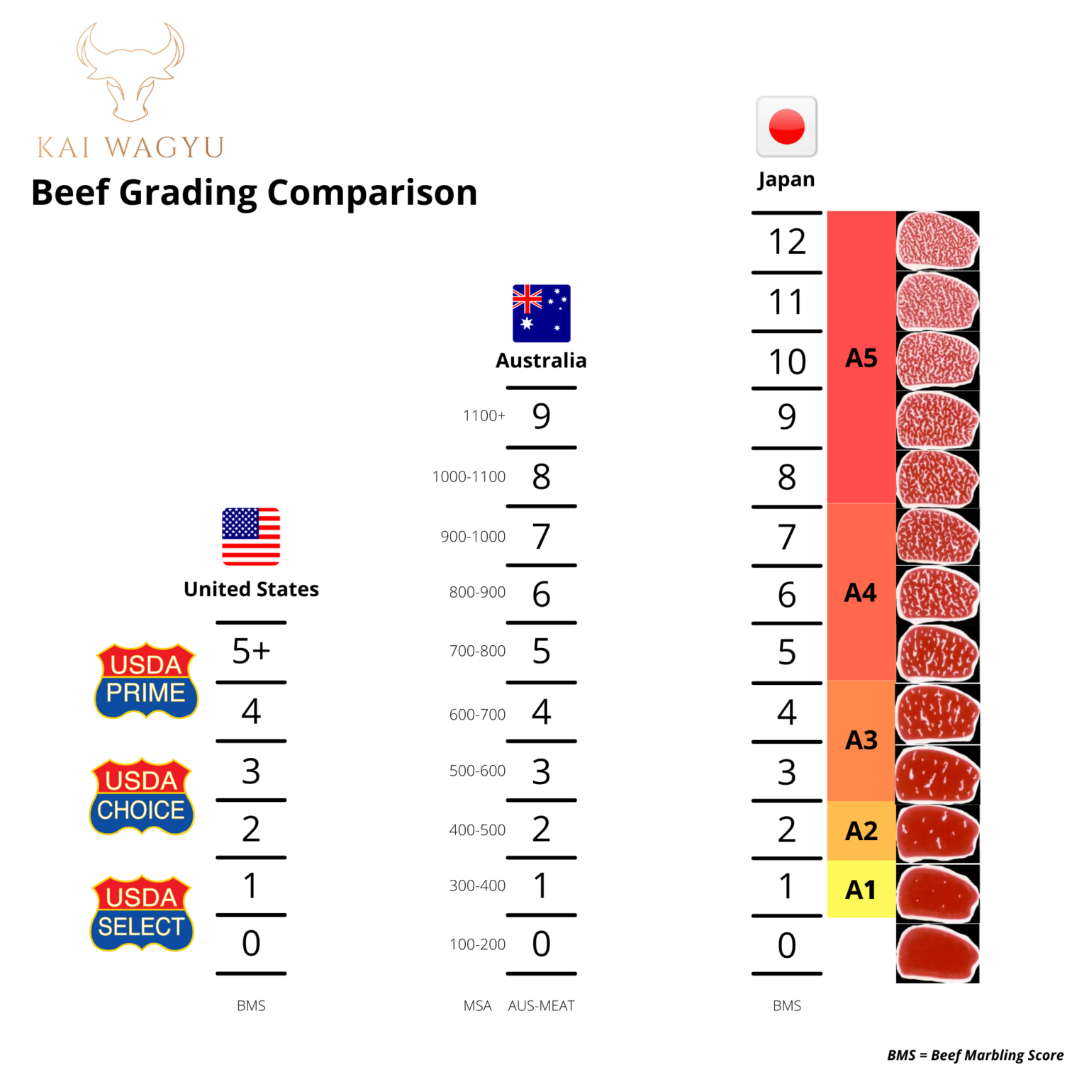 Kai Wagyu Wholesale Wagyu